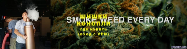 дурь Белая Холуница