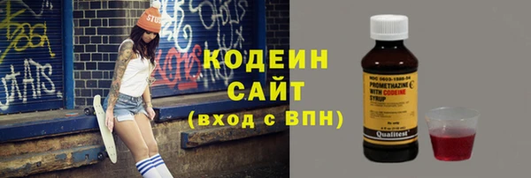 сатива Аша
