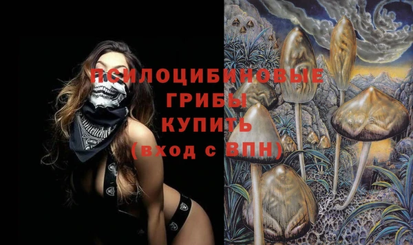 стафф Нефтегорск