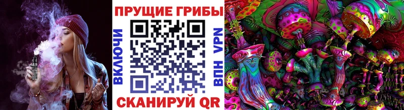 МЕГА   Советская Гавань  Псилоцибиновые грибы мицелий 