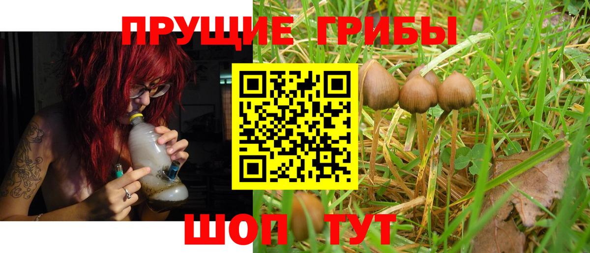 Галлюциногенные грибы Psilocybe  Псилоцибиновые грибы Psilocybe  Советская Гавань  Вход с VPN 